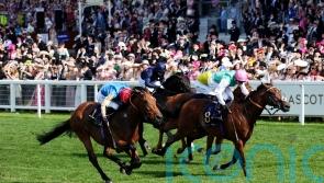 Kikkuli primed for Hungerford action at Newbury