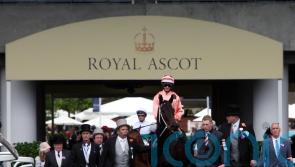 Australian legend Black Caviar dies from hoof condition