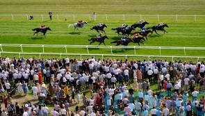 Lethal Levi Ayr Gold Cup bound after game Newbury win