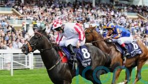 Lynam looks back fondly on ‘great days’ with Nunthorpe hero Sole Power