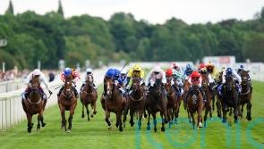 Irish raiding party again looks powerful for this year’s Ebor
