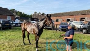Asfoora’s faithful groom dreaming of more UK glory