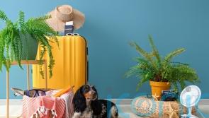 How to keep your greenery thriving during late-summer getaways