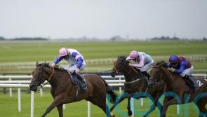 You Got To Me and Content clash again in Yorkshire Oaks