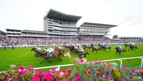 Jungle enjoys change of fortune in Ebor Festival opener