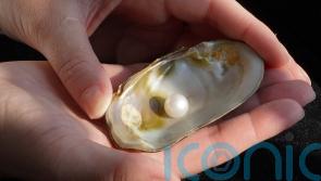 Famous freshwater pearl to stay in Scotland after selling for more than £93,000