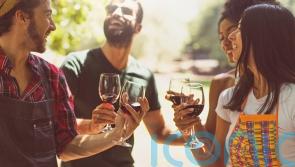 6 brilliant bottles of wine that won’t break the bank