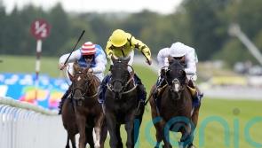 Johnston looking to Align spot in Leger line-up