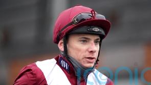 Shepherd ‘completely refutes’ ruling of stewards at Kempton