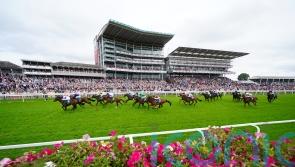 Diligently does it for Clive Cox again in big sales race