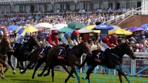 The Strikin Viking aiming to hit Gimcrack target