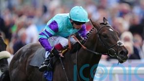 Cool Hoof Luke darts to Gimcrack victory at York