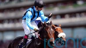 Dwyer fears Asfoora may now be ‘on the way down’