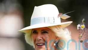 Queen meets former racehorse at Sky Bet Ebor Festival in York