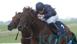 Henri Matisse exhibits star quality at the Curragh