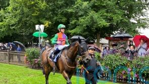 Williams eyeing international options for Hopeful hero Quinault