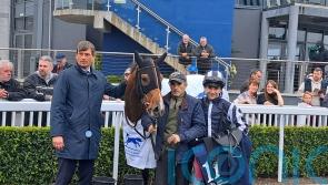 Shandy proves the toast of Naas after big Ballyogan upset