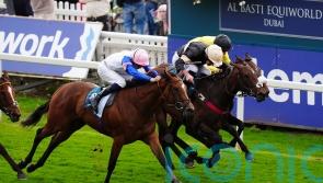 Alfa Kellenic plans currently up in the air