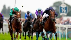 Champion Stakes high on the list of targets for Calandagan