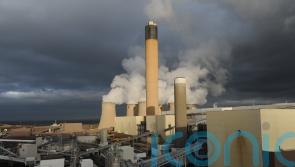 Miliband urged to end subsidies for firms burning wood for electricity
