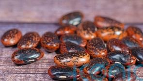 £38m ‘virtual’ centre to study ‘alternative proteins’ launched