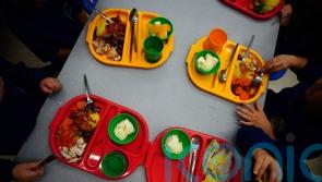 Nearly three in 10 teachers bring in food for hungry pupils, poll suggests