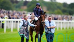 Oxx believes Troy can capitalise on wide-open Breeders’ Cup