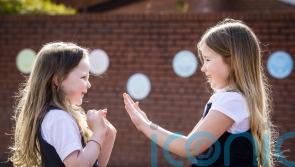 Young children able to co-operate for greater good even at personal cost – study