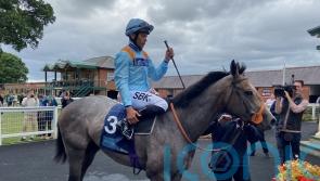 Shouldvebeenaring given Sprint Cup target