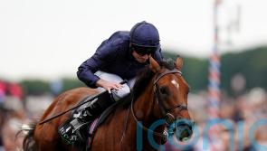City Of Troy confirmed for Breeders’ Cup workout at Southwell