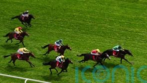 Tutty backing Blue Storm to make Bullet impact