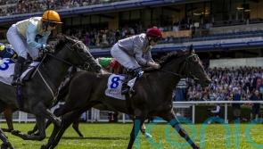 Simmering camp have sights set on Paris and Del Mar