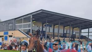 Without Words has the answers as O&rsquo;Brien bags Tipperary hat-trick