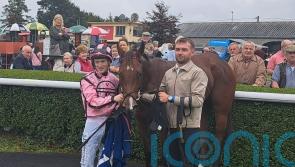 She’s Quality proves well-named in Abergwaun Stakes