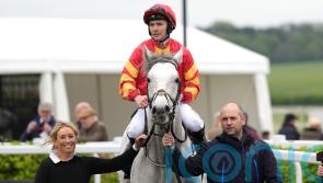 Setback brings early end to White Birch campaign