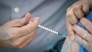 Anti-vax conspiracy theorist called for kill squad in Telegram chat, court told