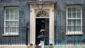 New kitten will join Starmer family in Downing Street, Prime Minister reveals