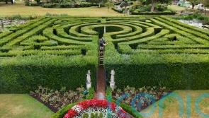 Gardeners at Anne Boleyn’s childhood home chop back 5km of hedging