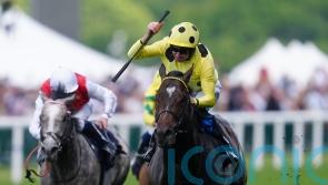 No ground concerns ahead of Inisherin Sprint Cup bid