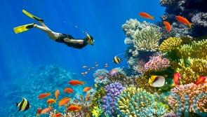 Dive below the surface to discover a refreshed and revived Sharm-el-Sheikh