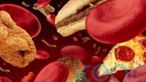 What is cholesterol and how can we lower it?