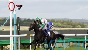 Hills hoping to hit the jackpot at Kentucky Downs again