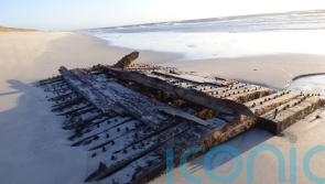 Shipwreck exposed by winter storms to be preserved in tank for research