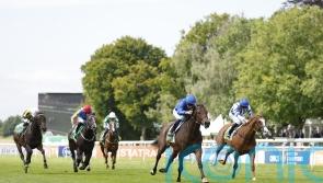 Palmer has big plans for juvenile pair