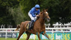 Classy juvenile fillies in line for May Hill rematch