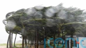 A million people flee their homes as Typhoon Yagi makes landfall in China