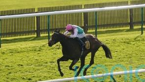 Kalpana can set up Champions Day outing with Kempton victory