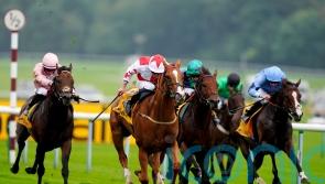 Holloway Boy makes long-awaited return to winner’s enclosure