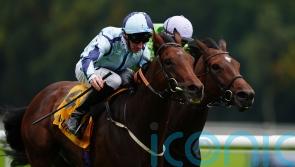 Epic Poet gets it all right in Old Borough Cup