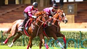 Shin Emperor all set for Irish Champion-Arc double after Paris gallop